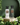 The Perfumers Garden